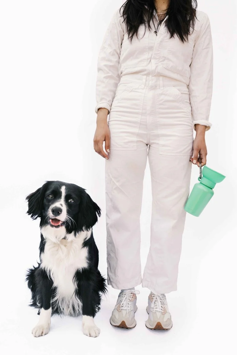 Pawliday Sale
